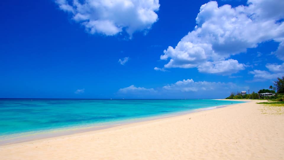 Brighton Beach which includes a sandy beach, tropical scenes and landscape views