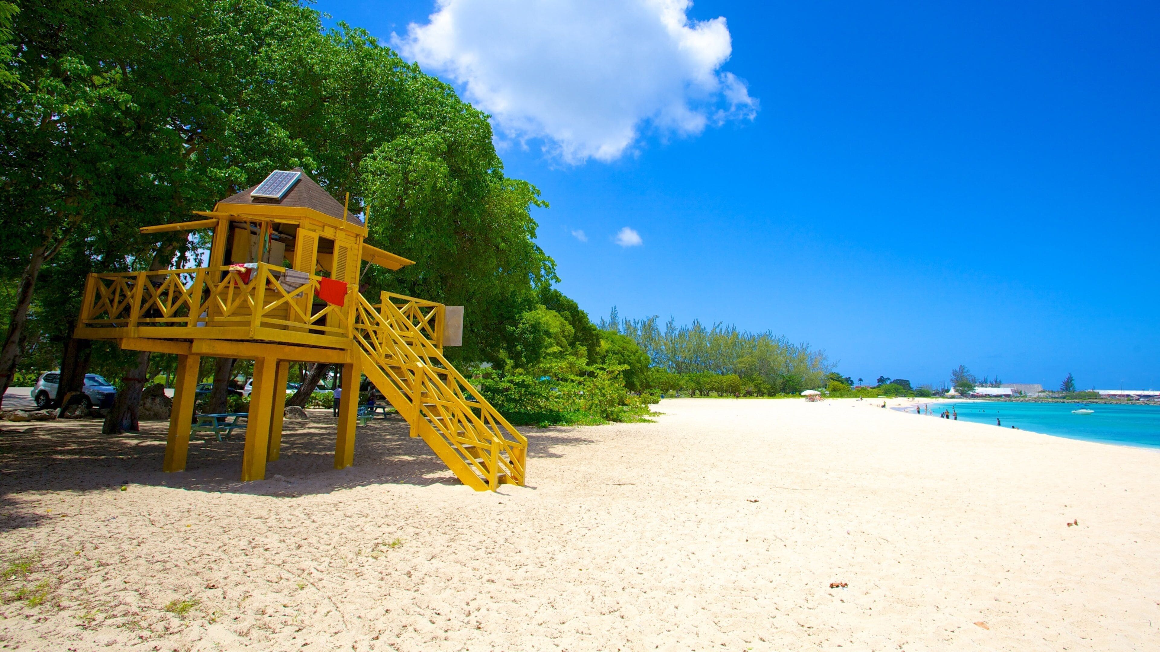 Brighton Beach featuring a sandy beach