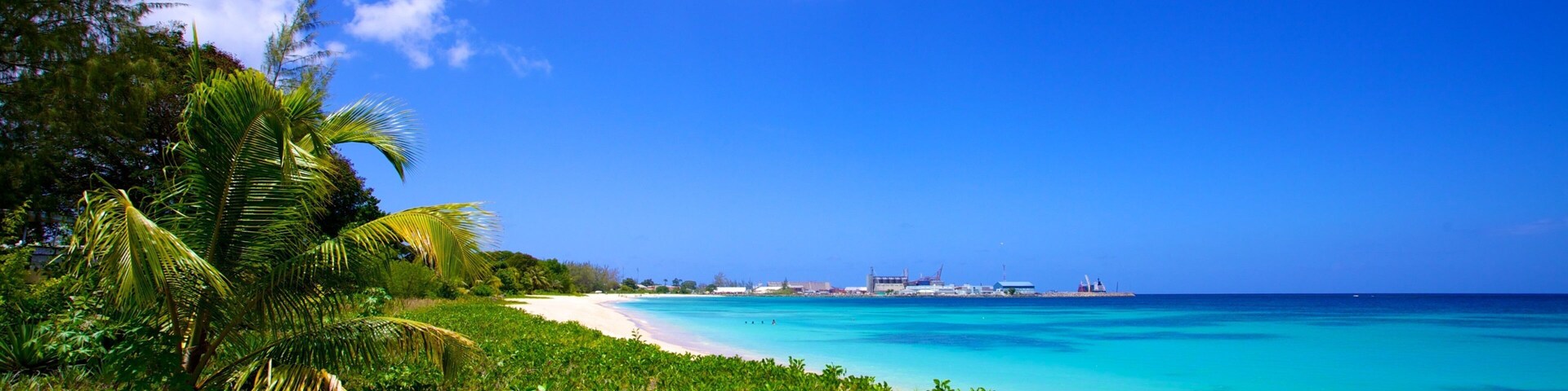 Brighton Beach showing general coastal views, tropical scenes and landscape views