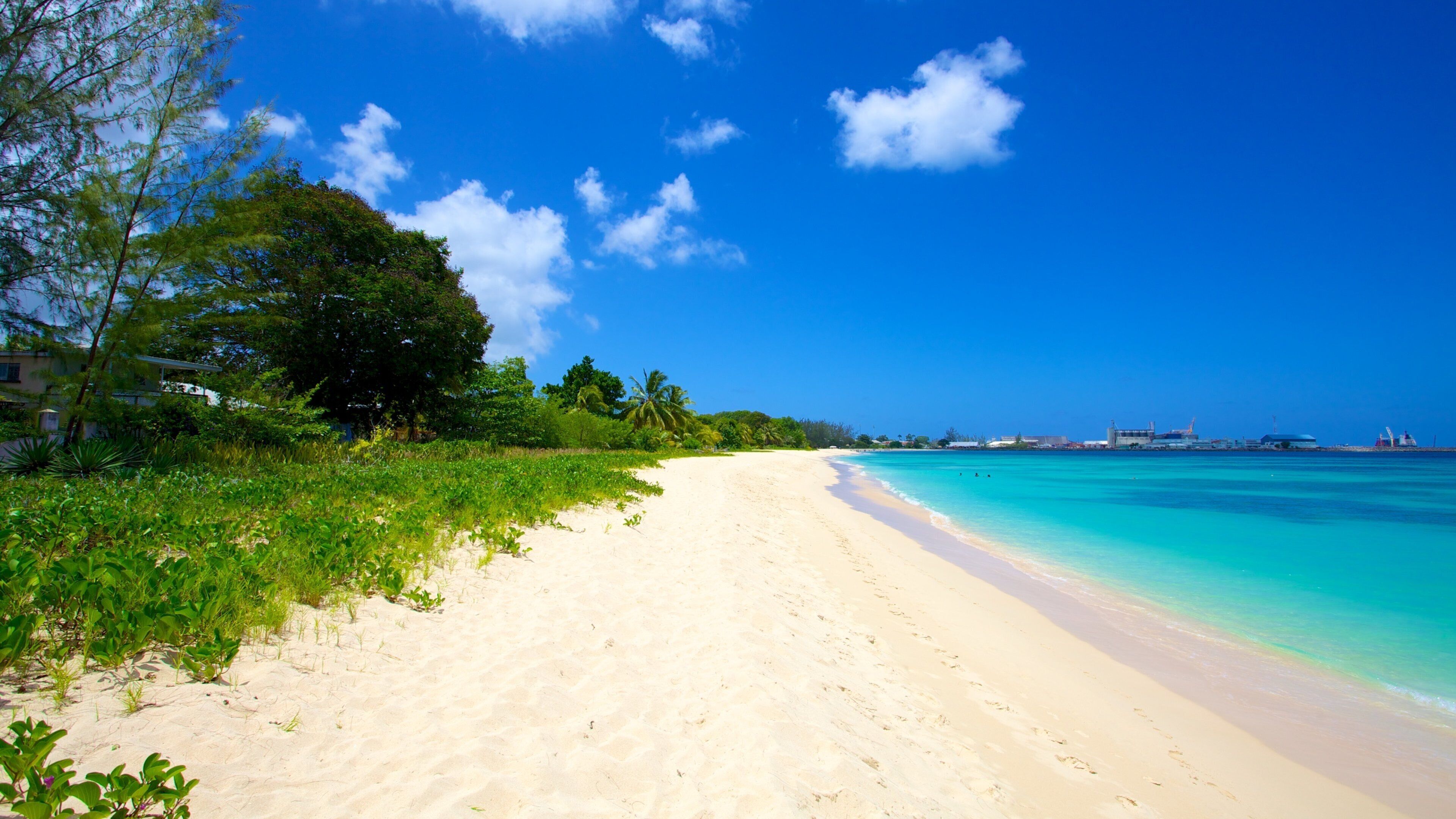 Brighton Beach featuring tropical scenes, landscape views and a beach