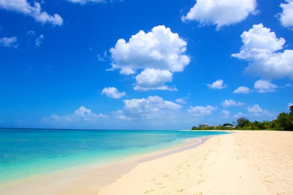 Brighton Beach which includes landscape views and a beach