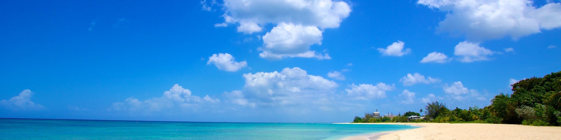 Playa Brighton mostrando vista panorámica y una playa de arena
