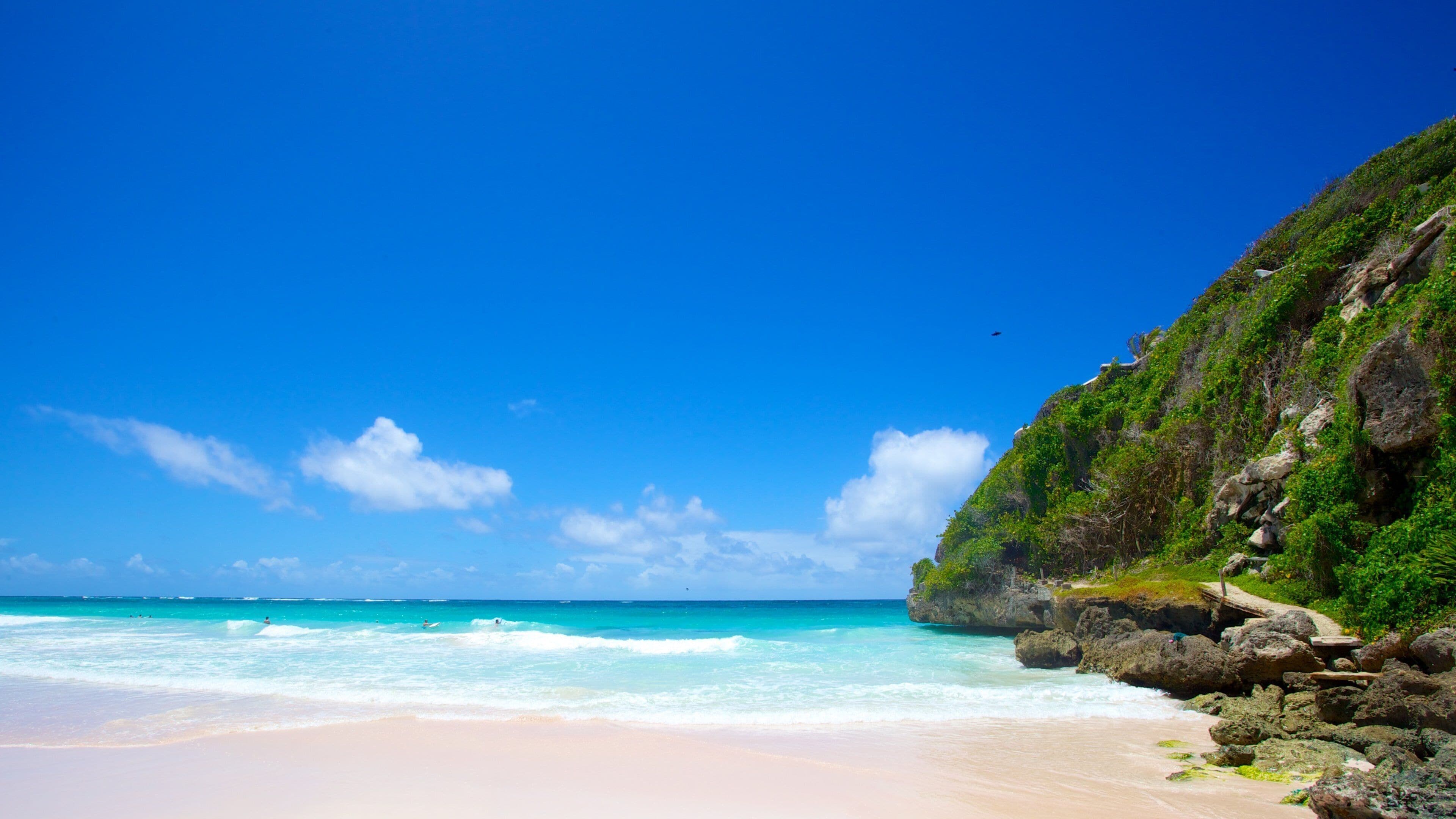 Crane Beach which includes a beach and landscape views