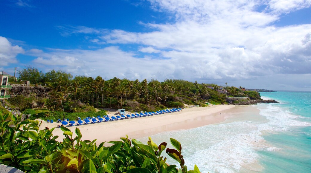 Crane Beach bevat een kuststadje, tropische uitzichten en een strand