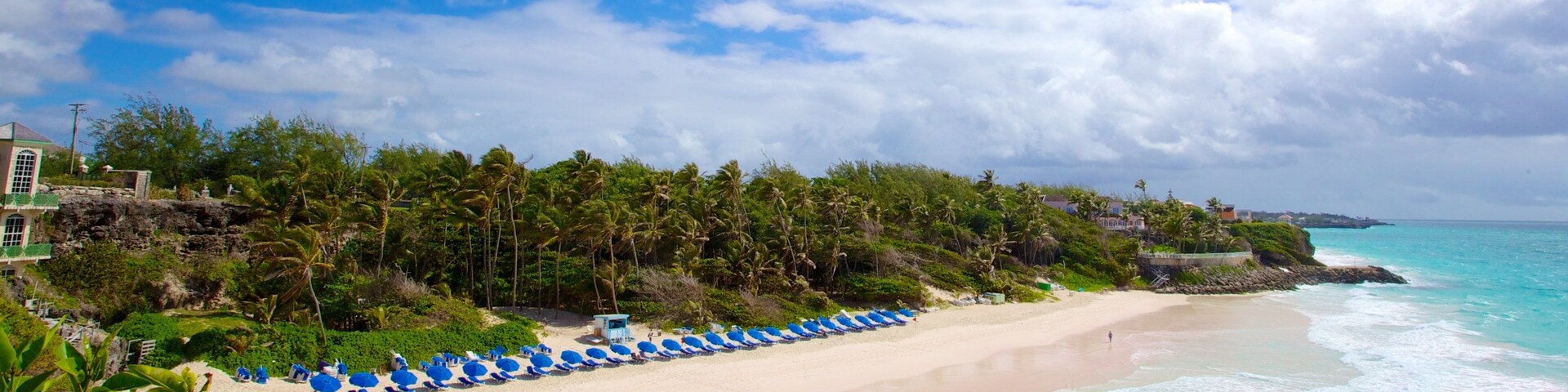 Crane Beach featuring landscape views, tropical scenes and a sandy beach