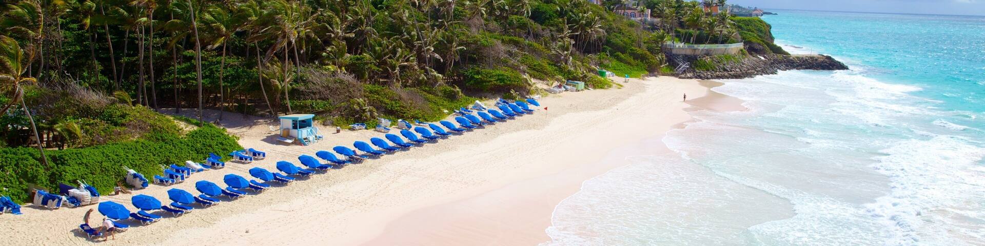 Playa Crane mostrando una playa de arena, escenas tropicales y vistas panorámicas