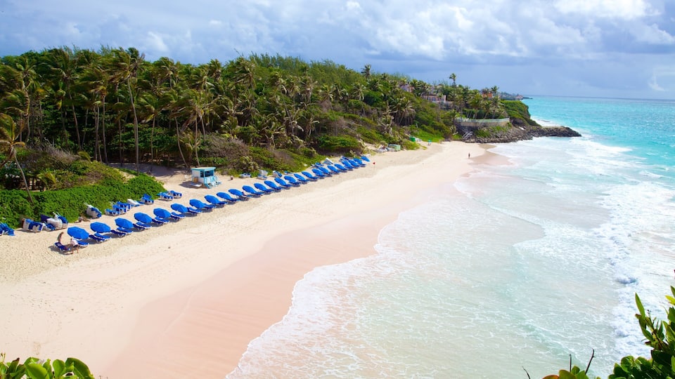 A beach with rows of blue umbrellas, a lifeguard tower, and palm trees.
