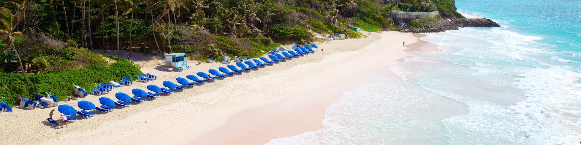Crane Beach featuring a beach, landscape views and tropical scenes