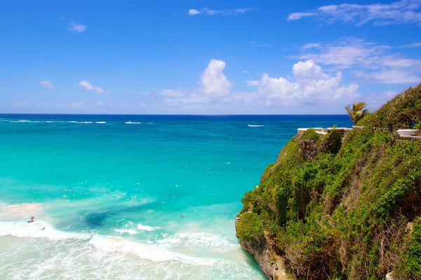 Crane Beach which includes rocky coastline, landscape views and tropical scenes