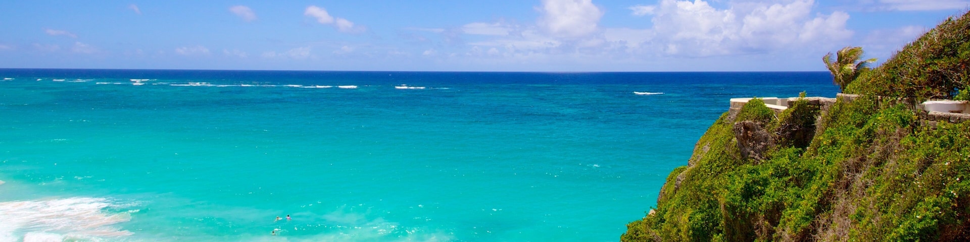 Crane Beach which includes rocky coastline, landscape views and tropical scenes