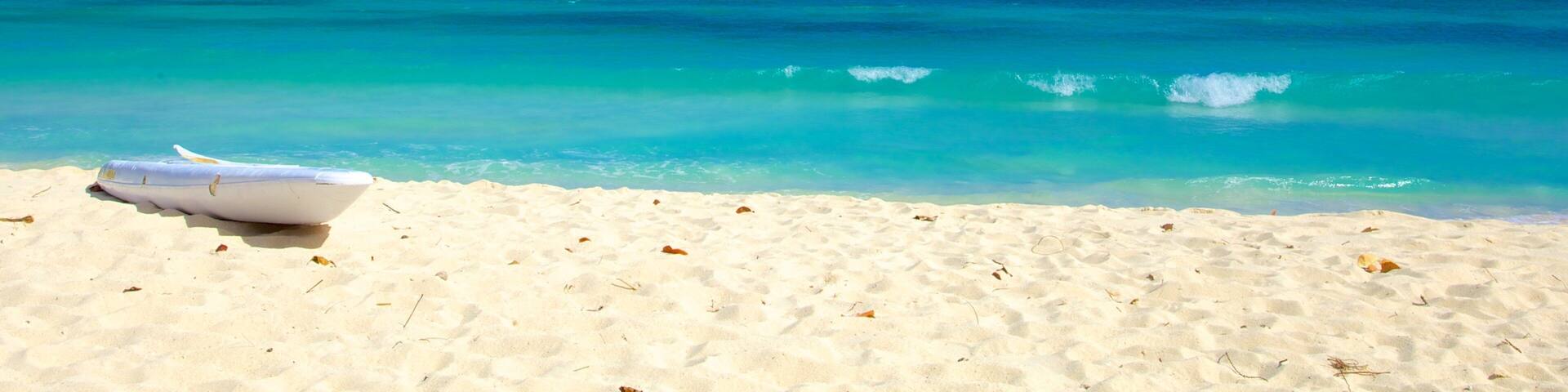 Playa Dover que incluye vistas de paisajes y una playa