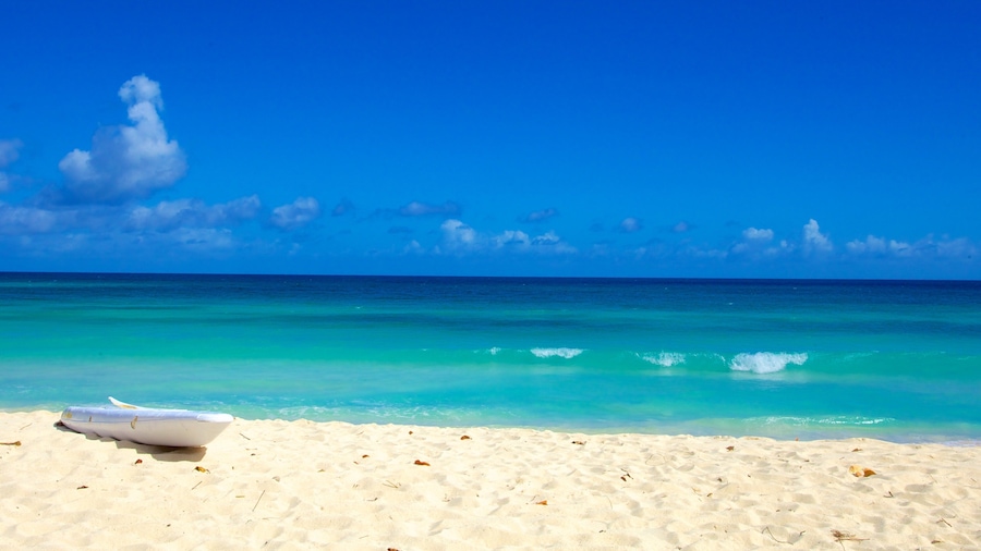 Dover Beach which includes a sandy beach and landscape views