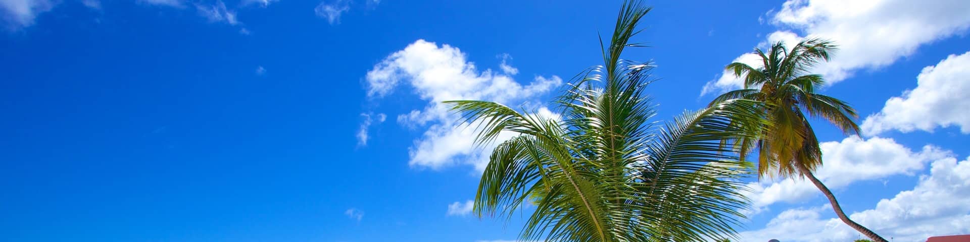 Dover Beach caratteristiche di località costiera, paesaggio tropicale e spiaggia