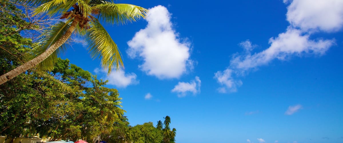 St. Lawrence Gap Hotel Guide