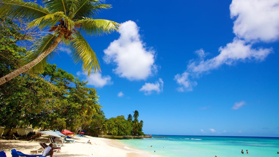 A tropical beach with clear turquoise waters, palm trees, and beach umbrellas.