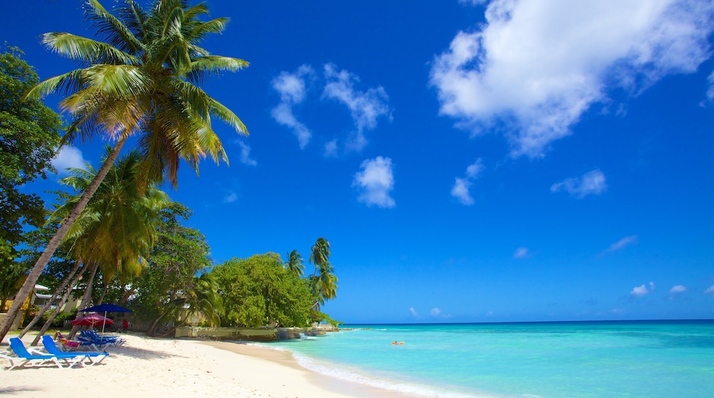 Playa Dover mostrando escenas tropicales, vistas de paisajes y una playa