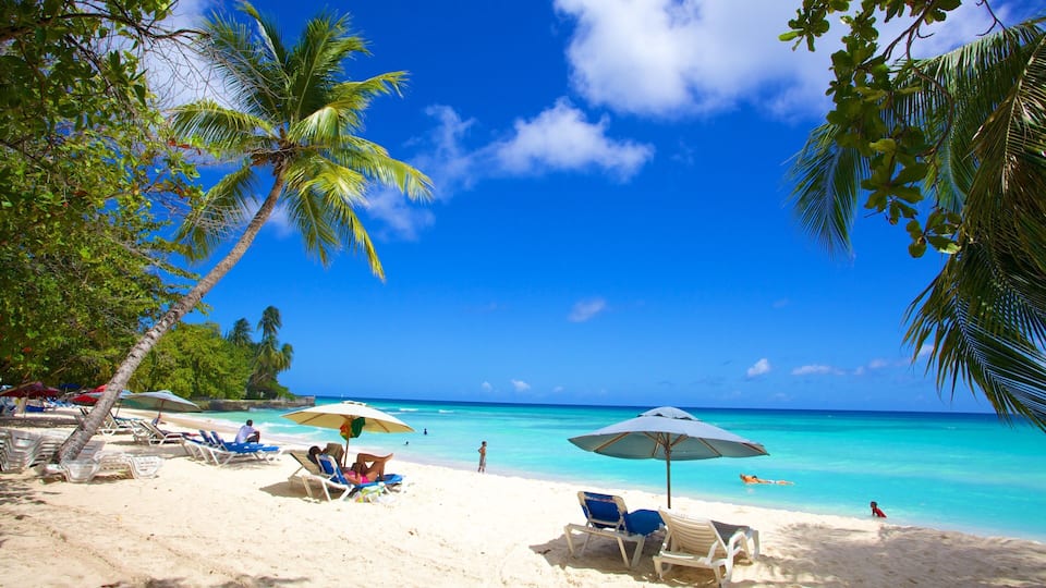 A beach with palm trees, clear turquoise water, and people relaxing on sun loungers.