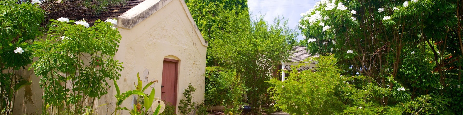 George Washington House mostrando uma casa e elementos de patrimônio