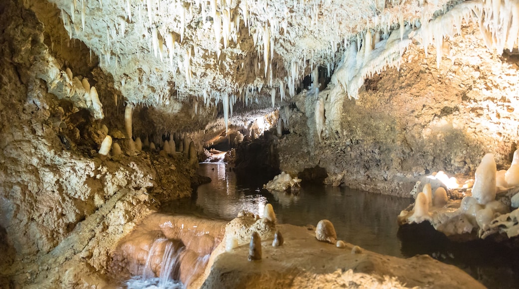 water in harrison's cave barbados