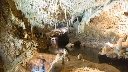 water in harrison's cave barbados