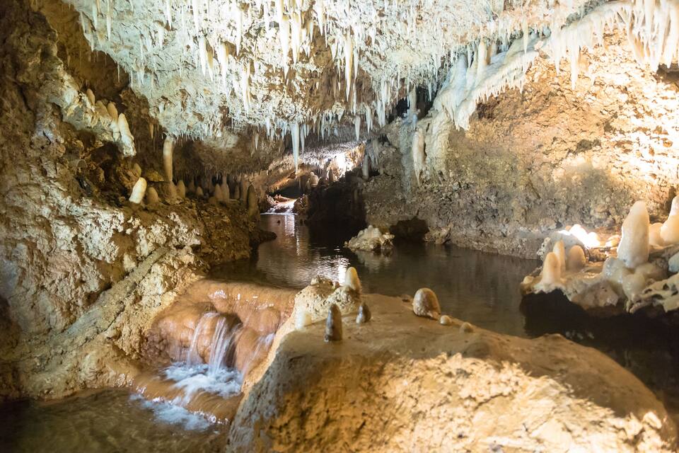 A cave with stalactites, a water stream, and a pool.
