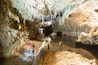 Harrison's Cave