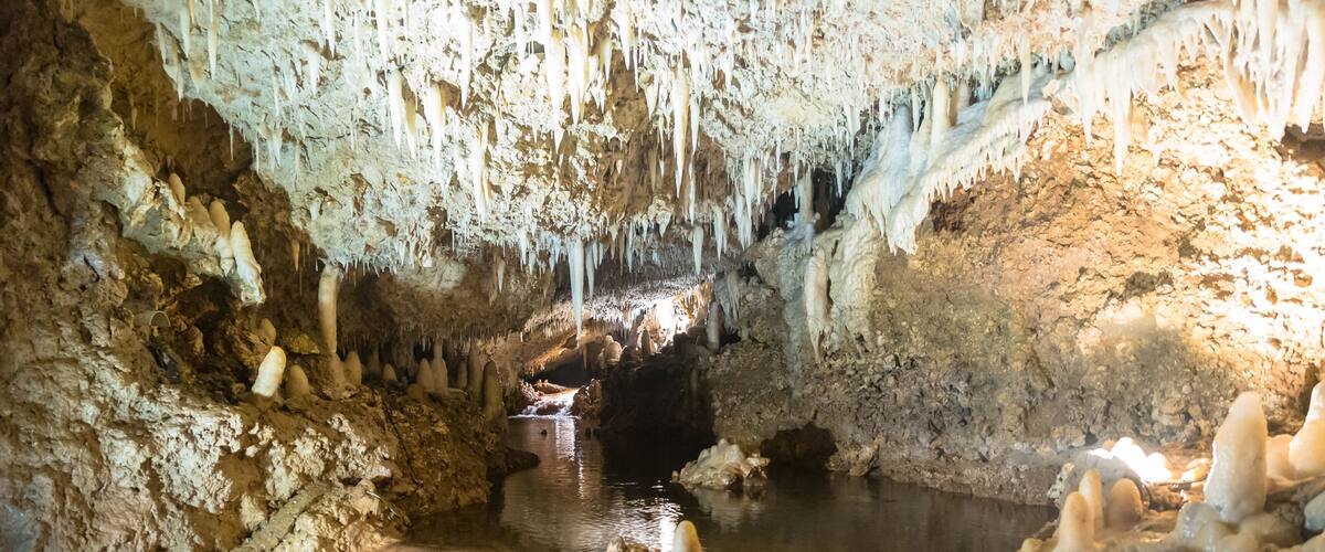 A cave with stalactites, a water stream, and a pool.
