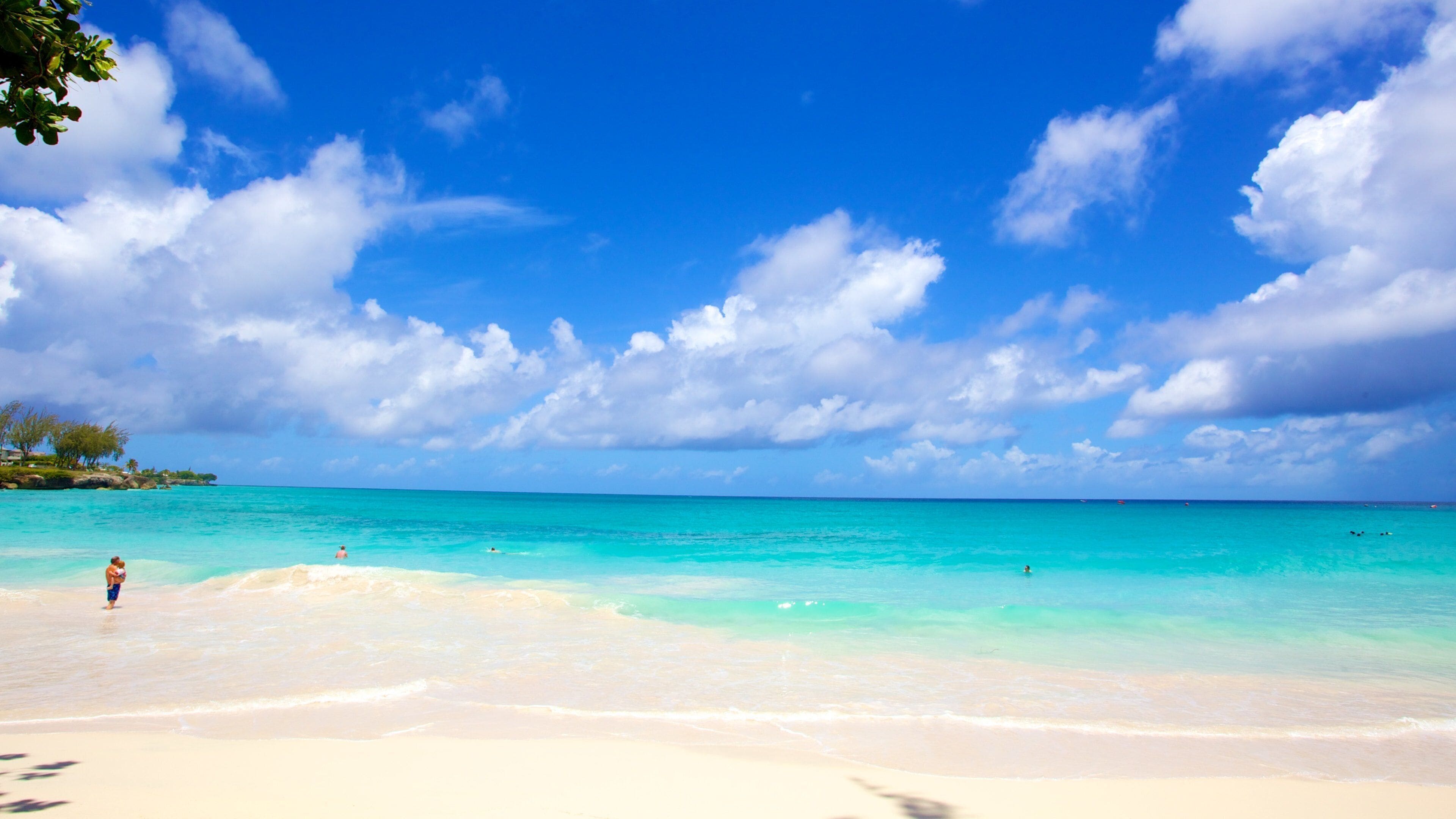 Miami Beach featuring landscape views, a sandy beach and tropical scenes