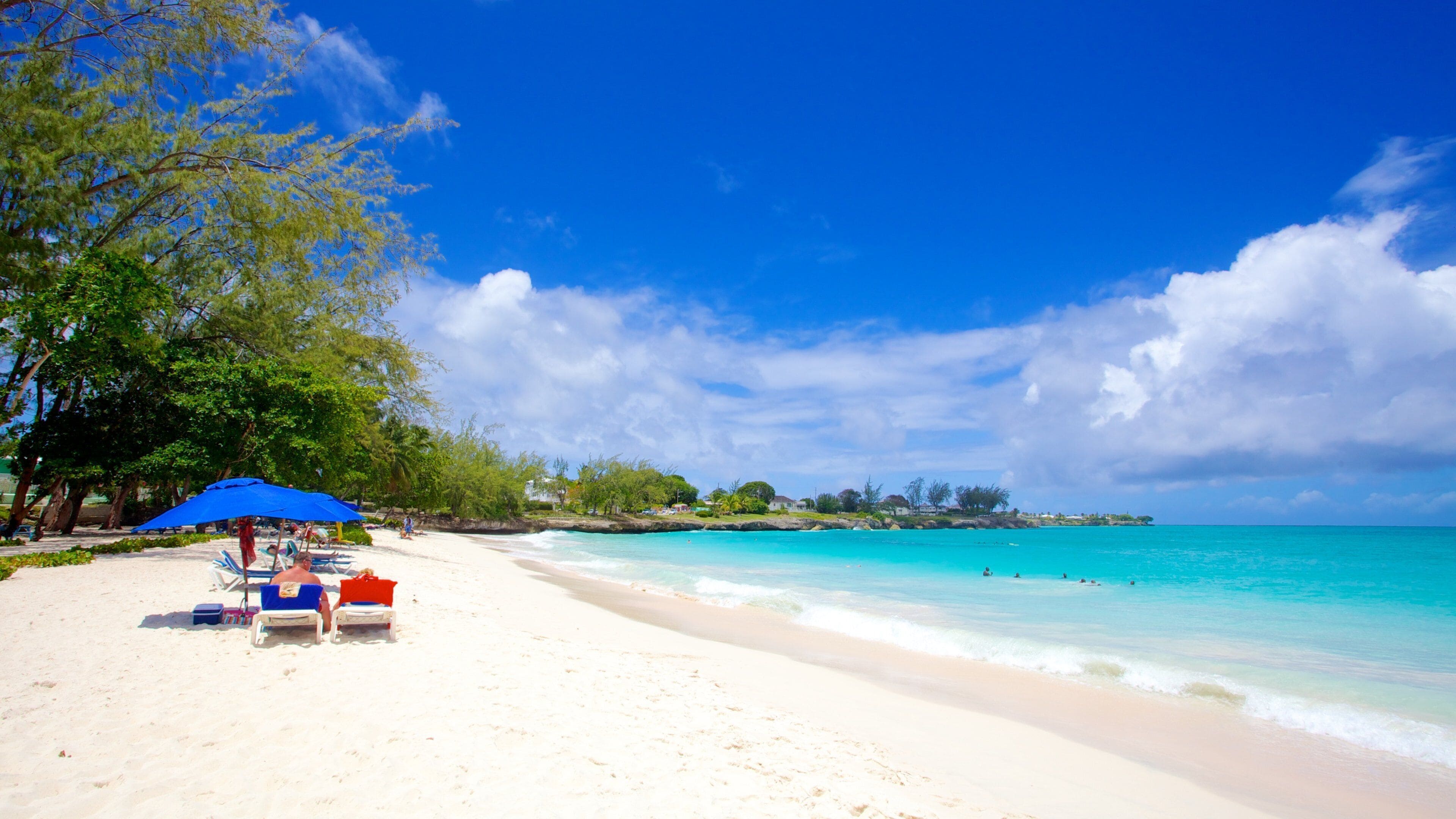 Miami Beach som inkluderer landskap, strand og tropisk landskap