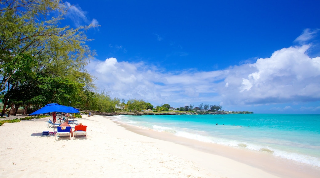 Miami Beach som inkluderer landskap, strand og tropisk landskap