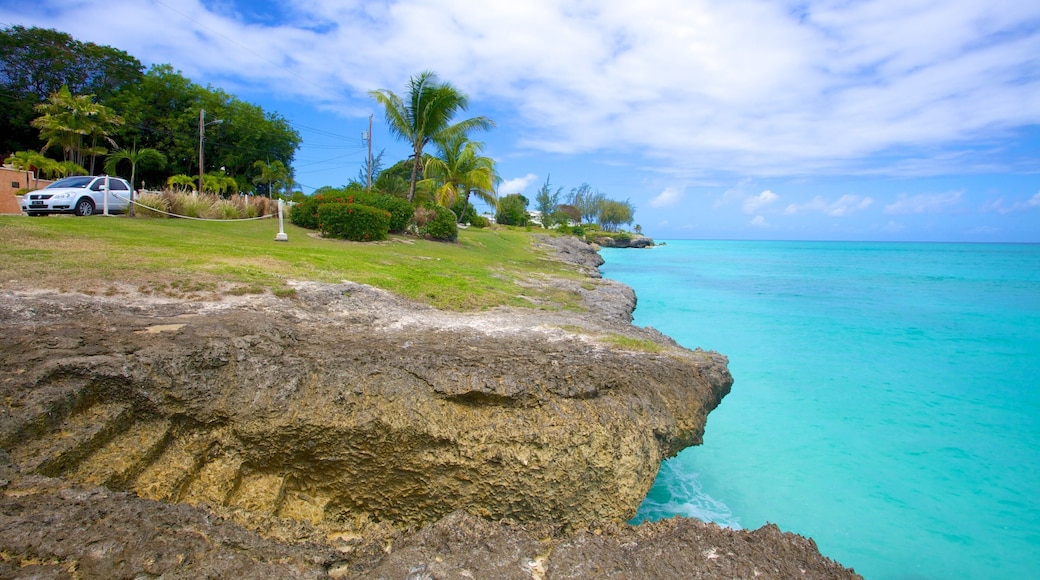 Miami Beach featuring general coastal views, landscape views and tropical scenes
