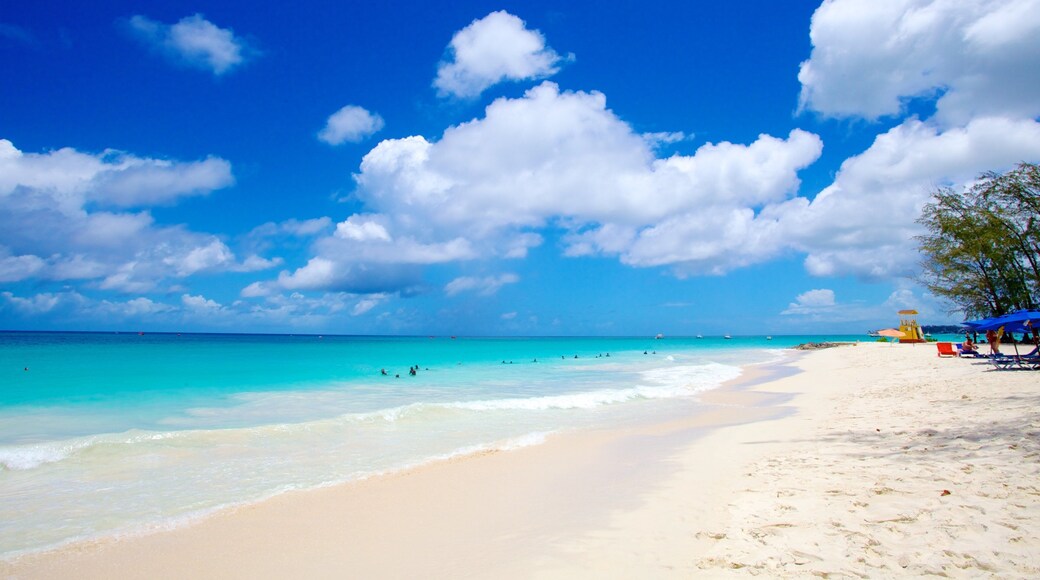 Miami Beach which includes a sandy beach, landscape views and tropical scenes