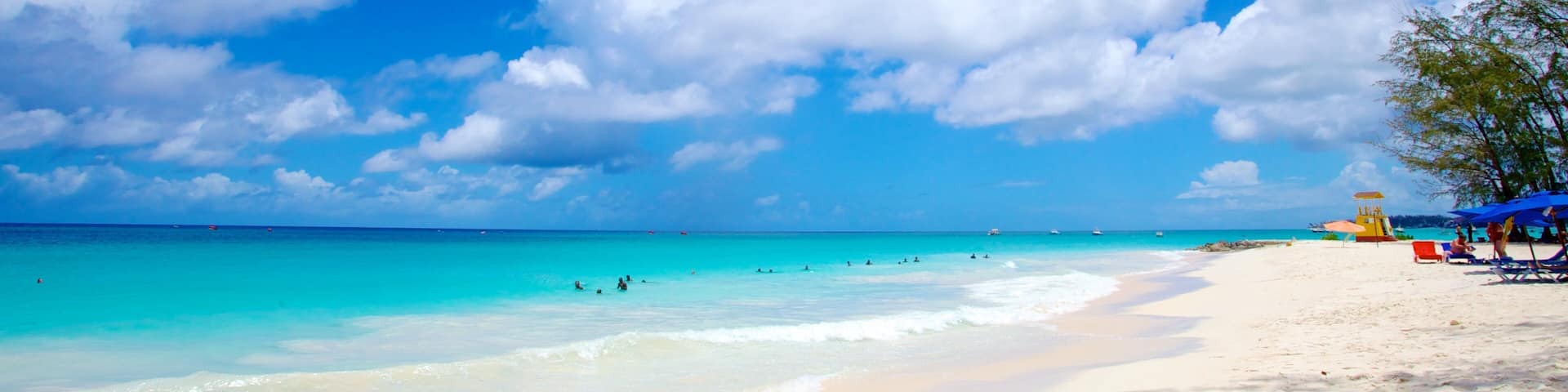 Miami Beach som visar landskap, en strand och tropisk natur