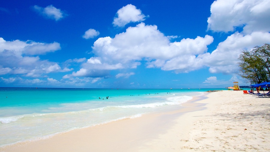 Miami Beach showing tropical scenes, a sandy beach and landscape views
