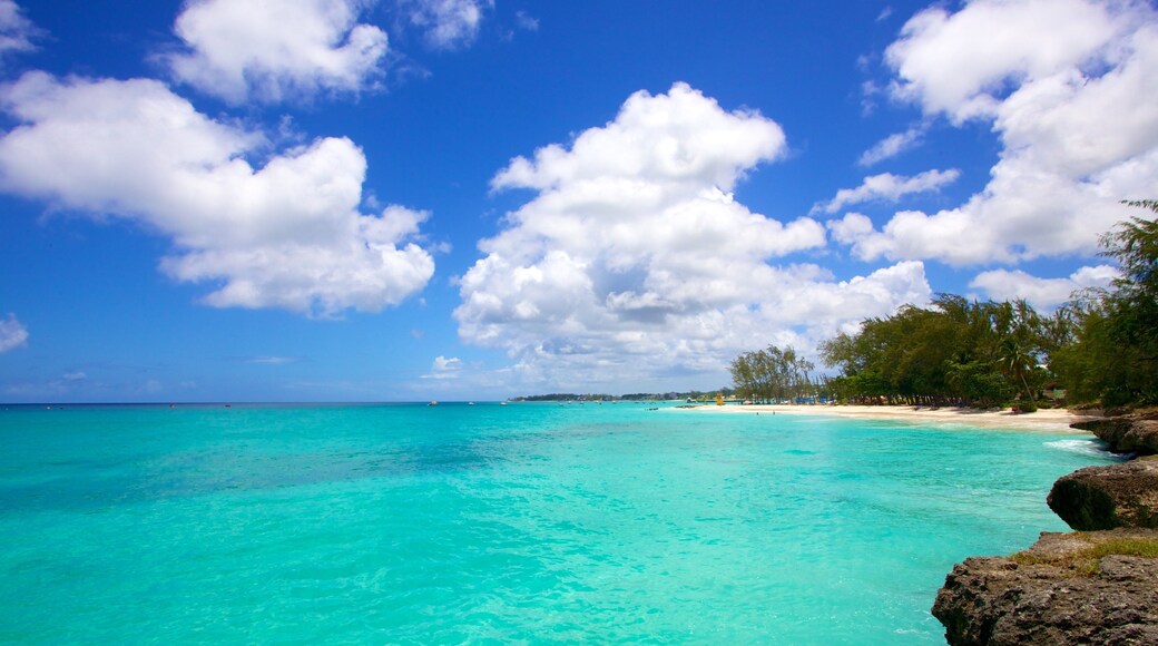 Miami Beach welches beinhaltet tropische Szenerien, Strand und Landschaften