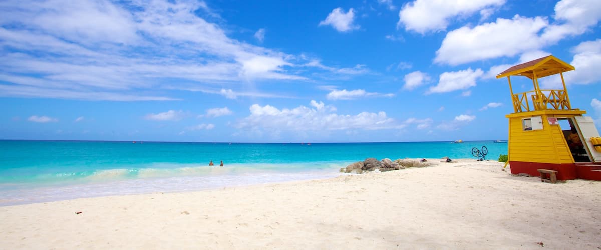 Miami Beach showing landscape views and a sandy beach