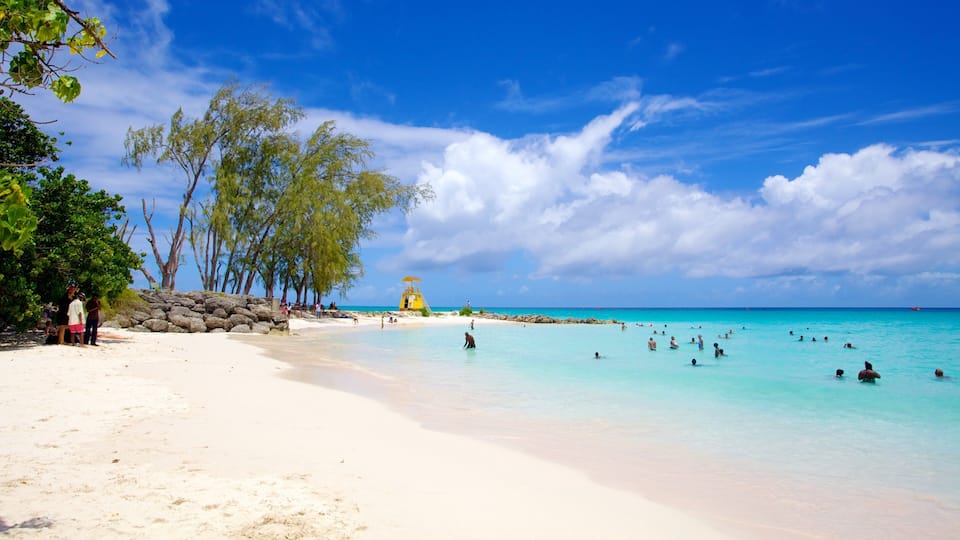 A beach with clear turquoise water, white sand, and palm trees.