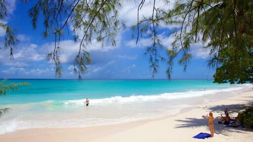 Miami Beach das einen Strand, tropische Szenerien und Landschaften