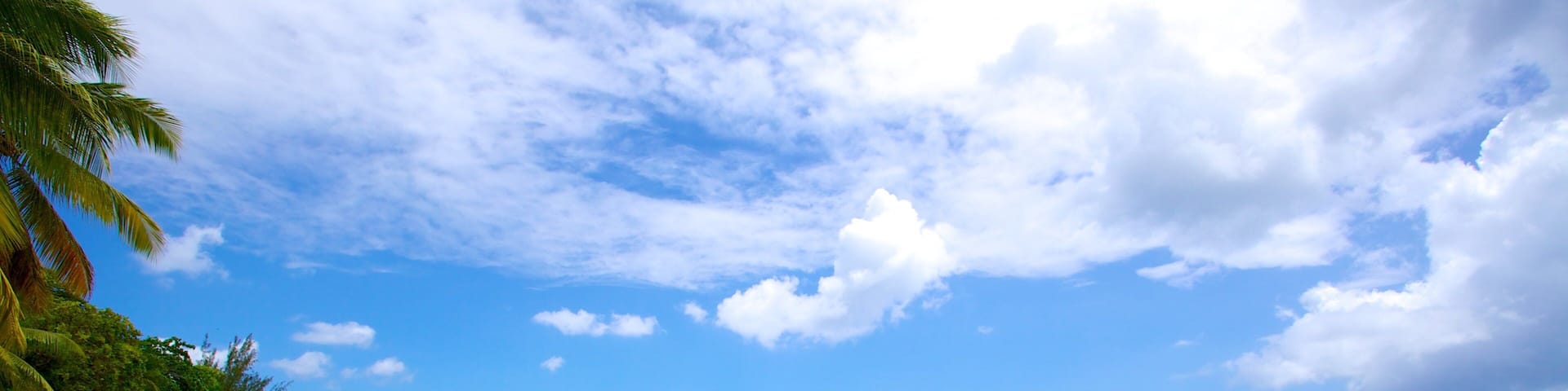 Mullins Beach showing a beach, landscape views and tropical scenes