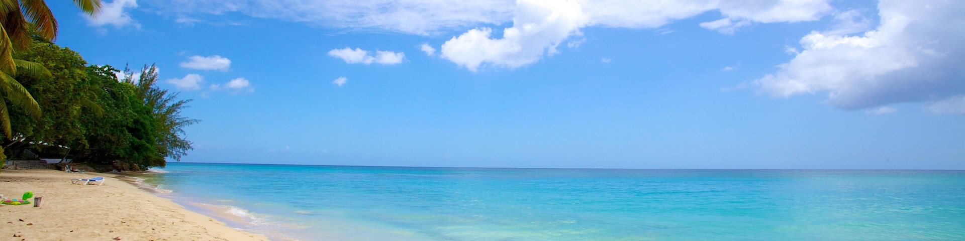 Mullins Beach showing a sandy beach, tropical scenes and landscape views