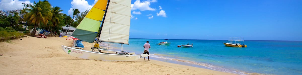 A beach with a sailboat, palm trees, and clear blue water.