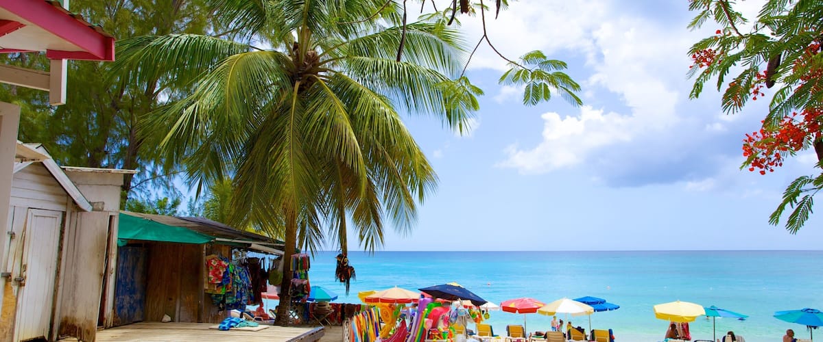 Una playa con palmeras, sombrillas de colores y sillas de playa.