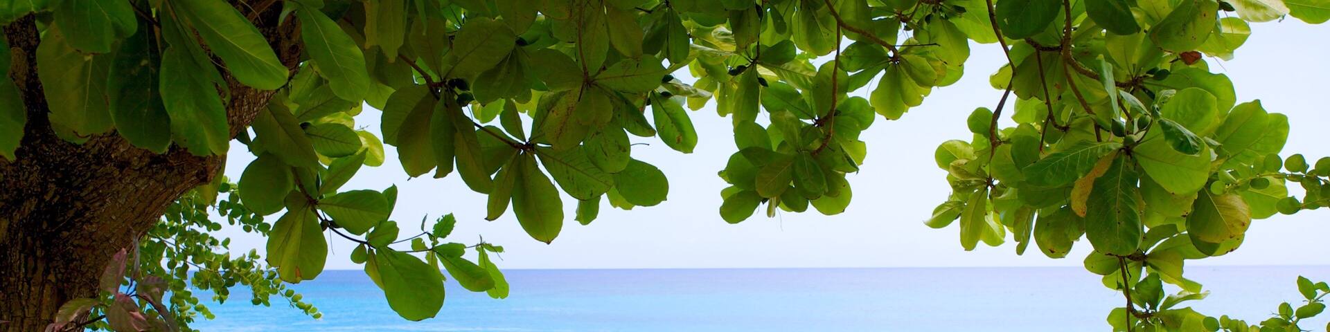 マリンズ ビーチ どの含み 常夏の風景, 海岸沿いの町 と 海岸線の眺め