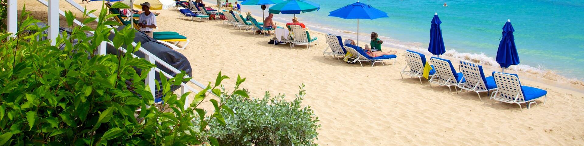 Mullins Beach which includes tropical scenes and a sandy beach