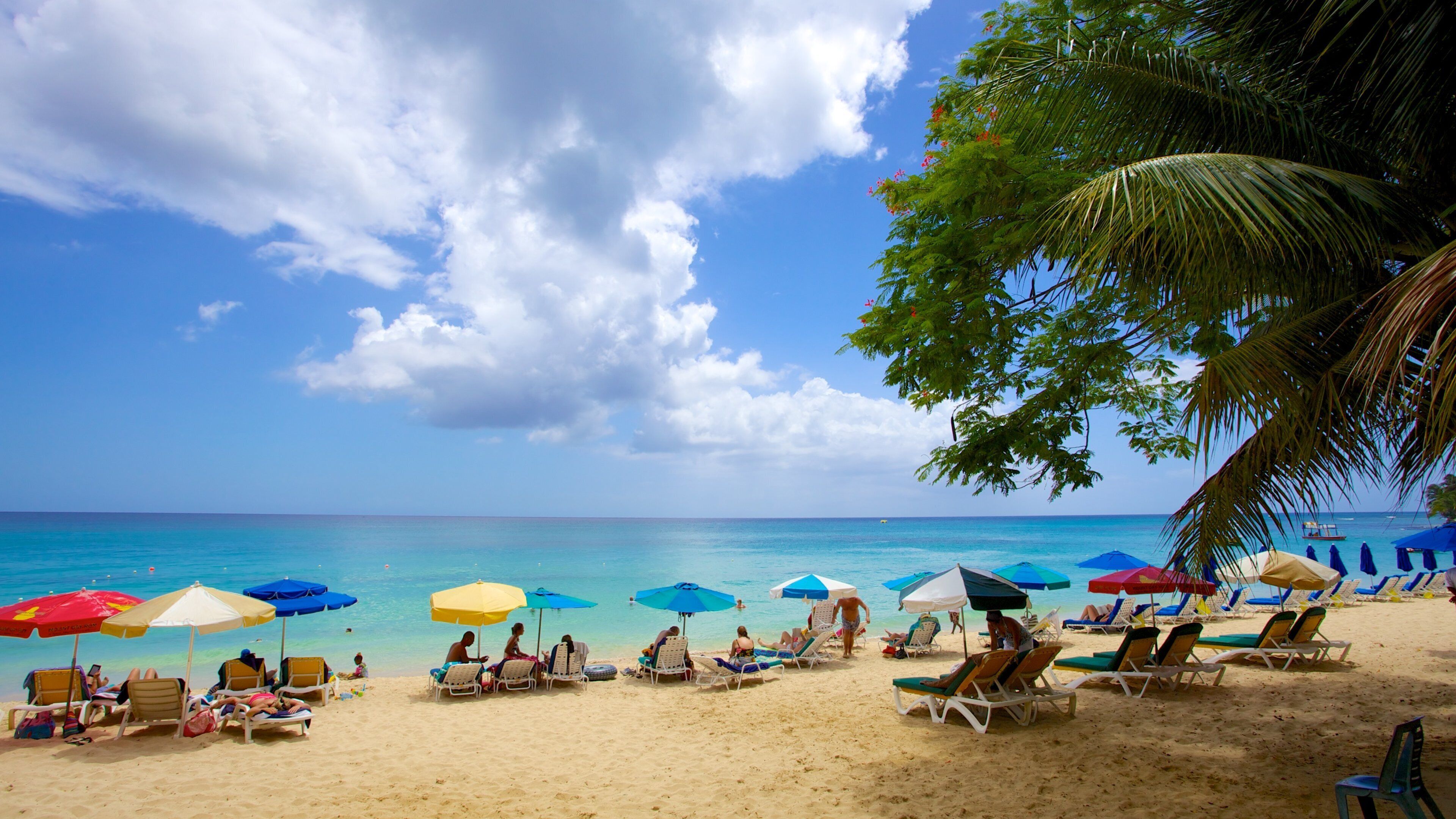 Mullins Beach som inkluderer sandstrand, luksushotell eller resort og tropisk landskap