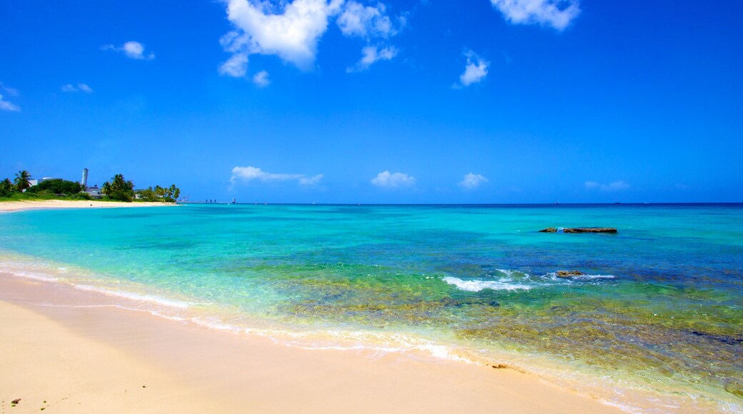 Paradise Beach som viser tropisk landskap, strand og landskap