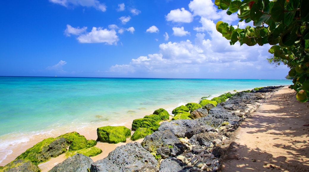 パラダイス ビーチ どの含み 砂浜 と 自然の風景