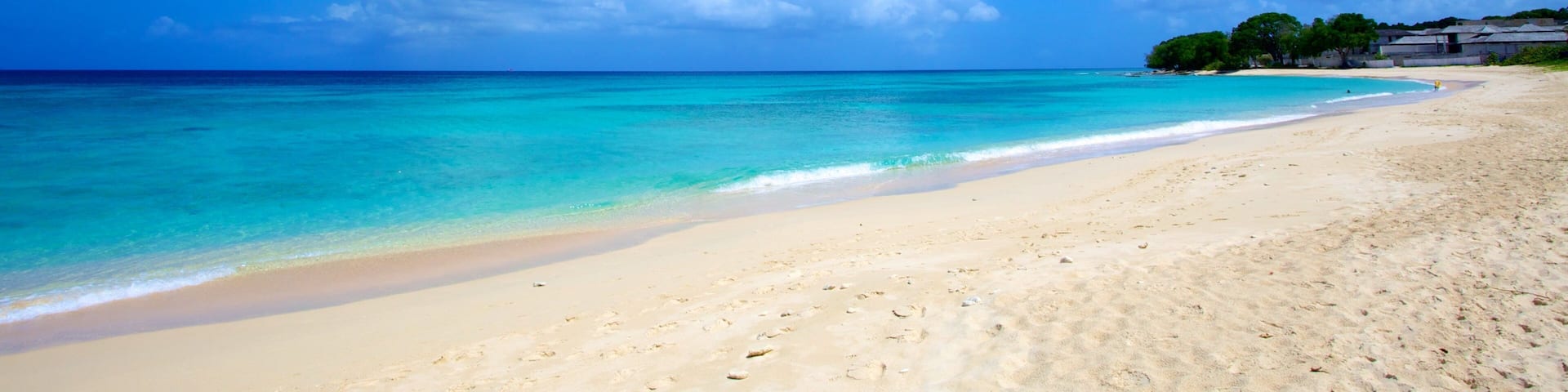 パラダイス ビーチ どの含み ビーチ と 自然の風景