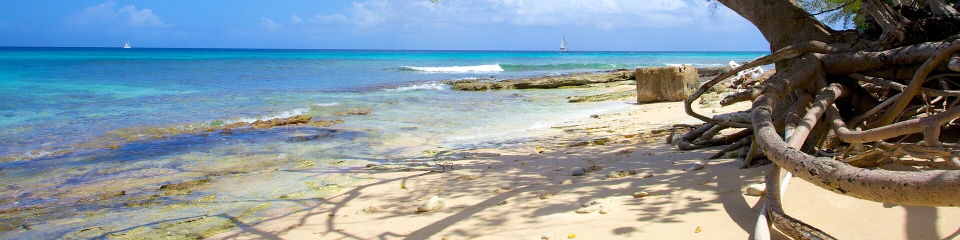 Paradise Beach showing landscape views, a sandy beach and tropical scenes