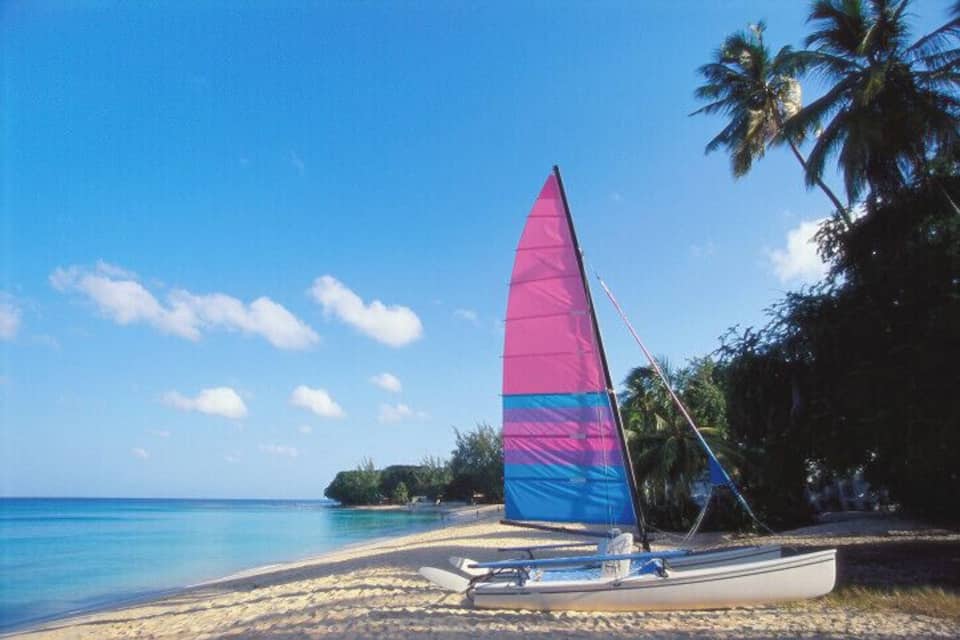 Un velero con una vela rosa y azul en una playa arenosa con palmeras y agua azul cristalina.